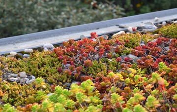 the cost of Scawthorpe green roof installation