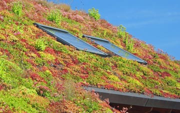 Scawthorpe living roof systems