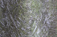 Scawthorpe fibreglass roof work